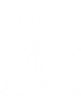 logo-myteamswings