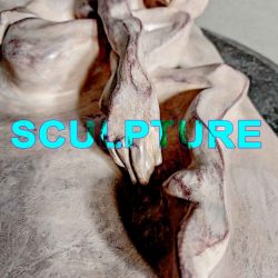 sculpture-haim-adri